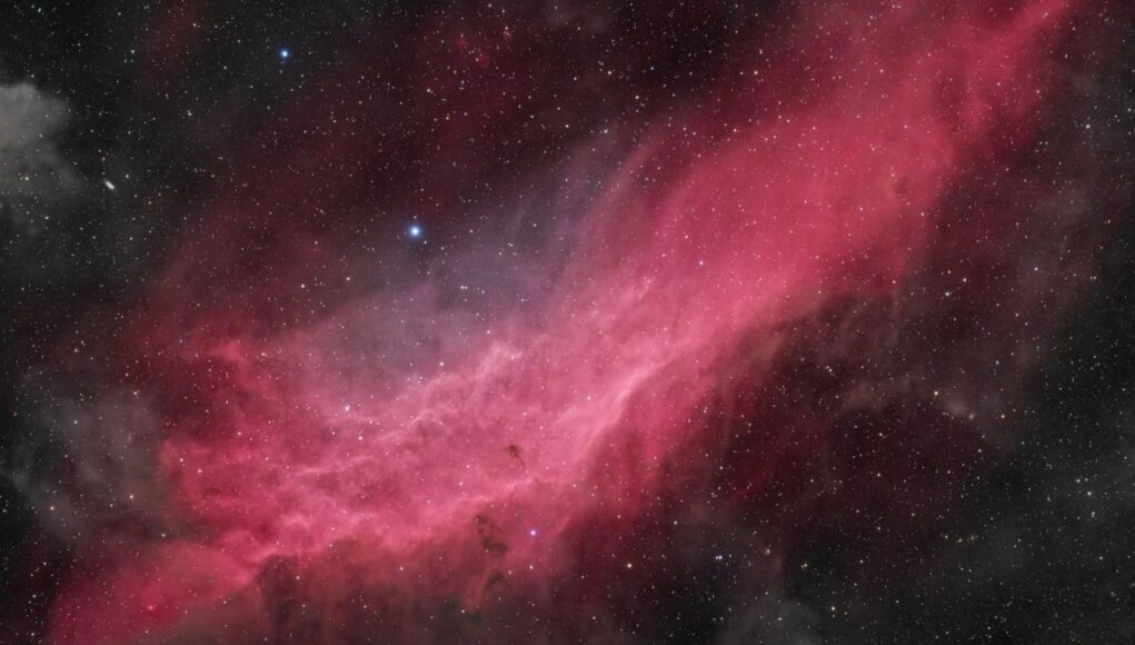 NGC1499 di Daniele Borsari