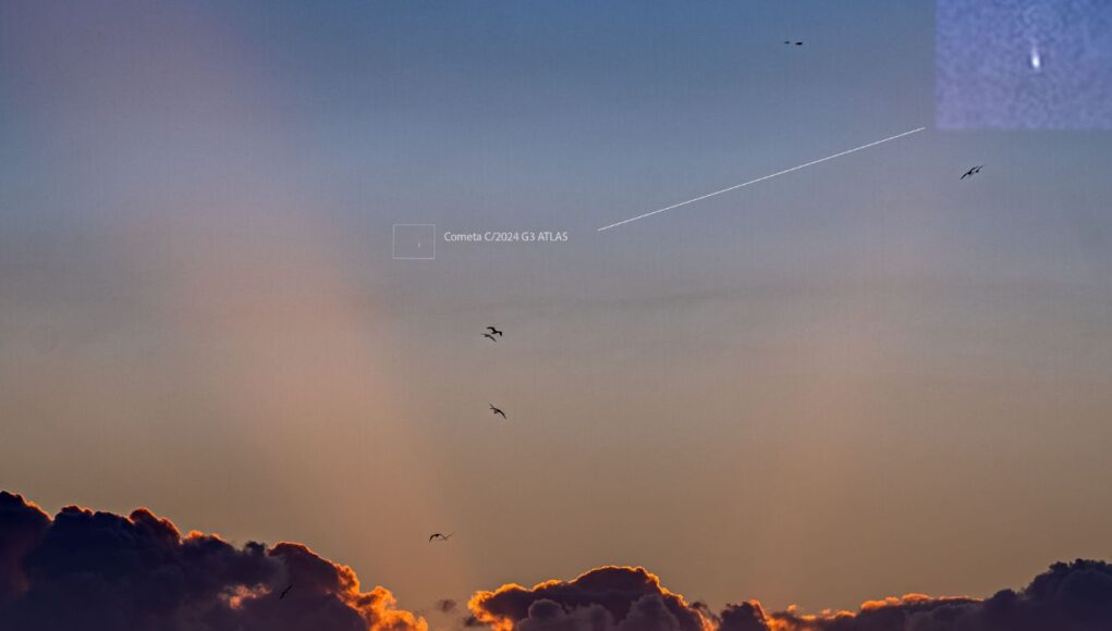 articolo cometa