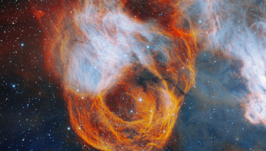 NGC 2040 (1)