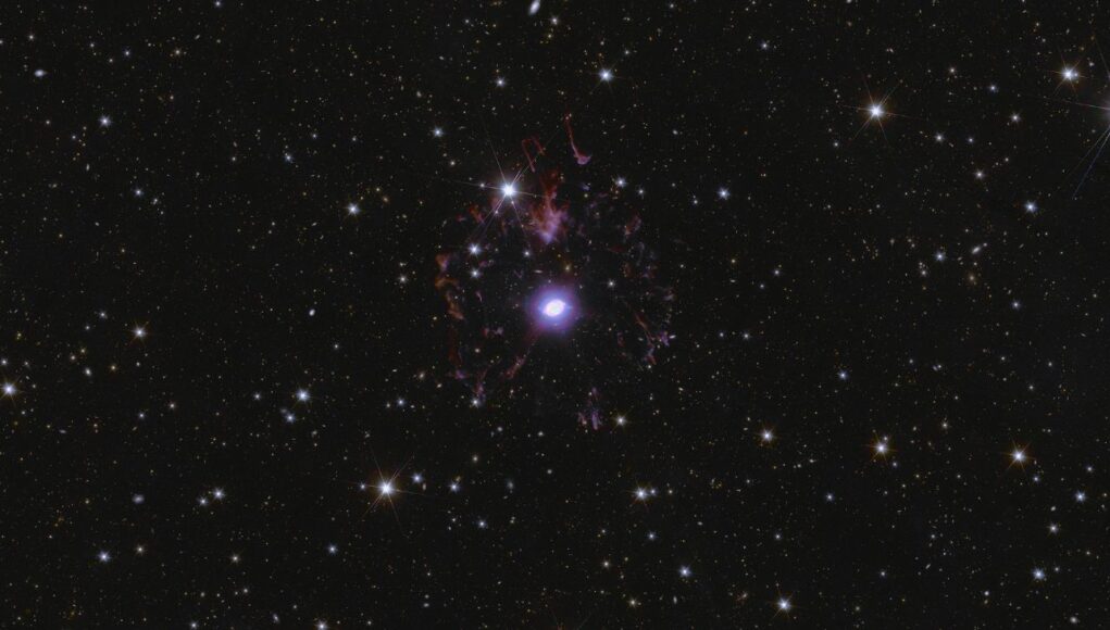 Euclid campo nord