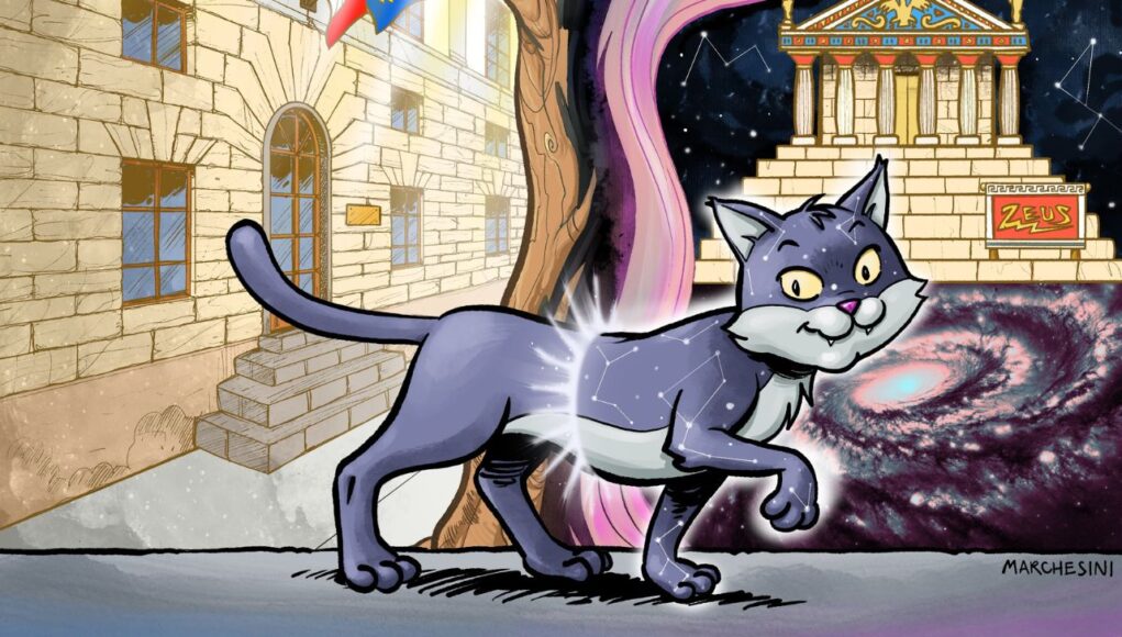 Gattobuio copertina