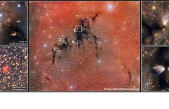 Circinus West: Una Nebulosa Oscura che Ospita un Nido di Nuove Stelle