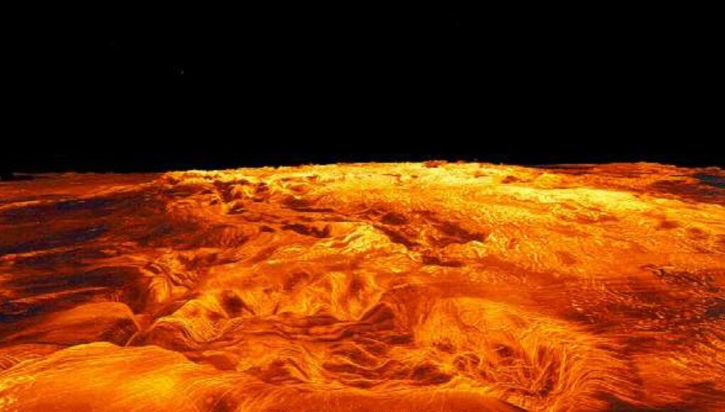 venus manto