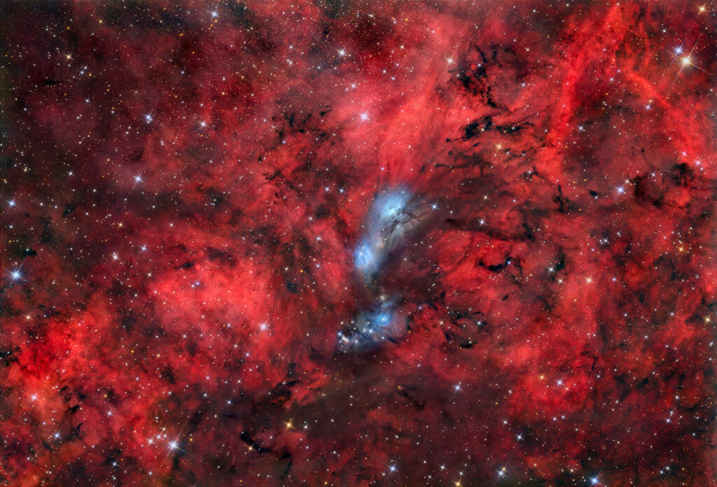 NGC 6914