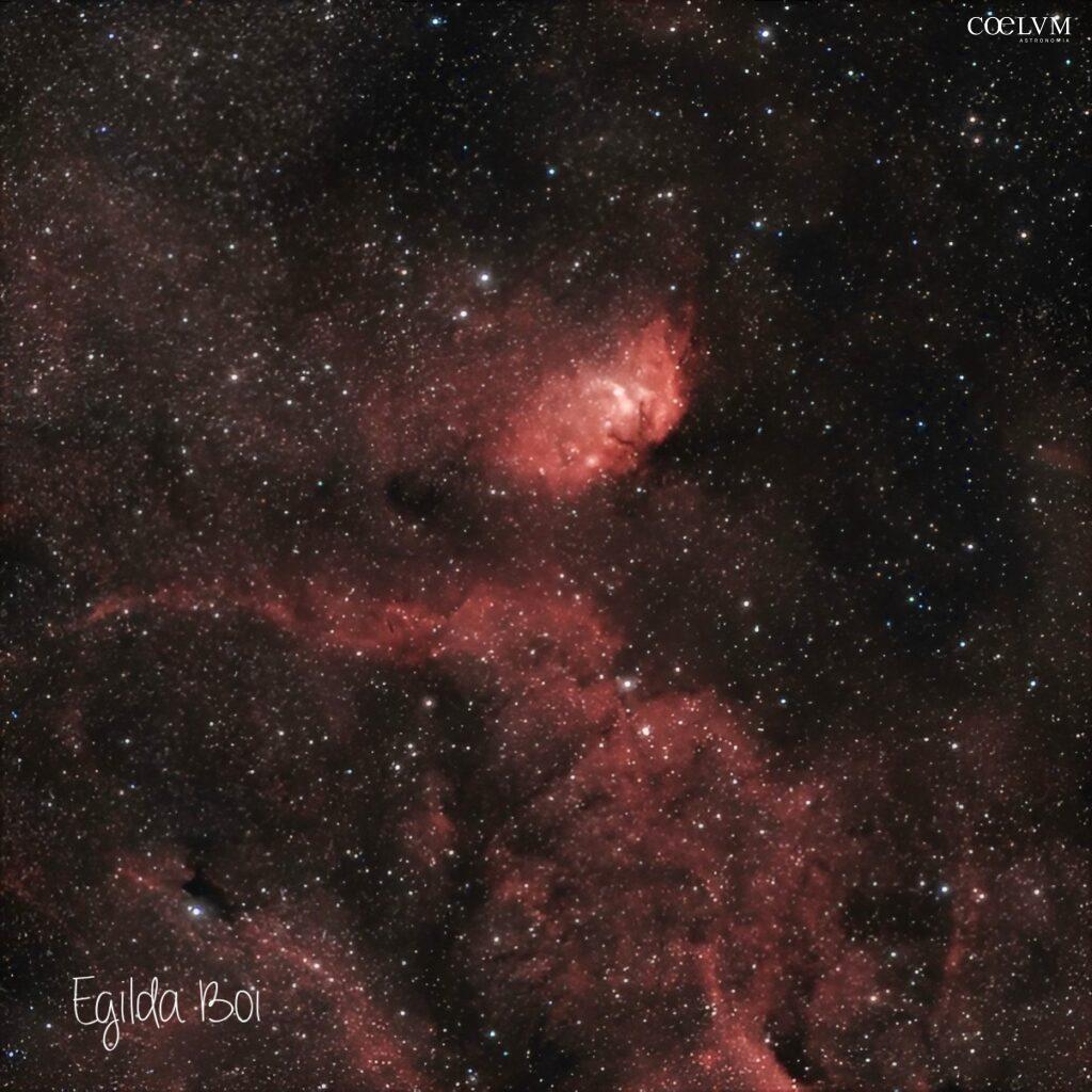Nebulosa Tulipano