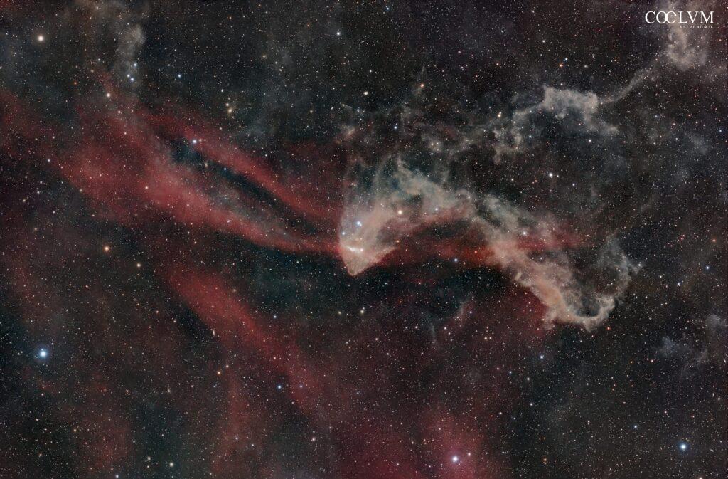 NEBULOSA GECO