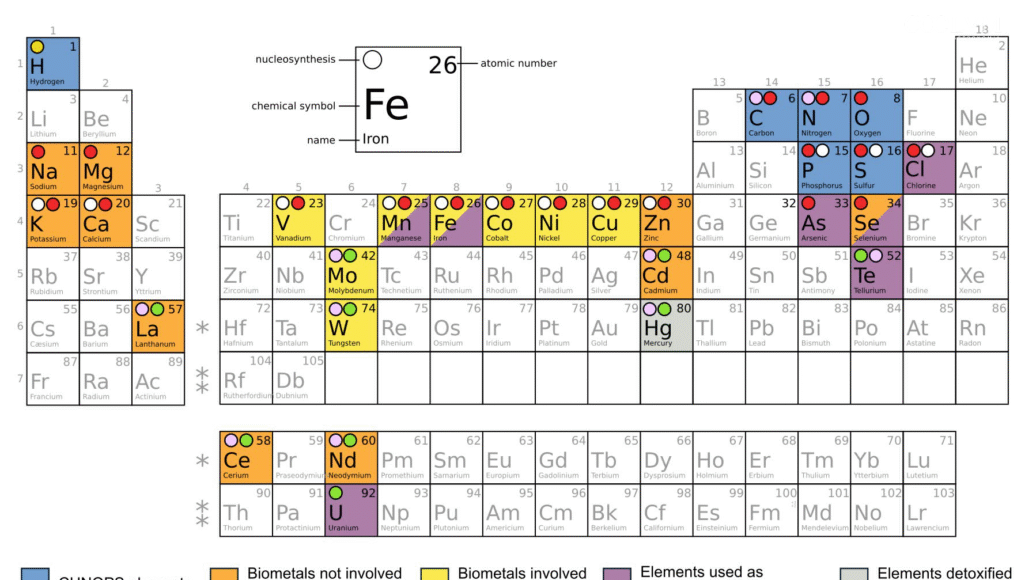 extracted_image_1