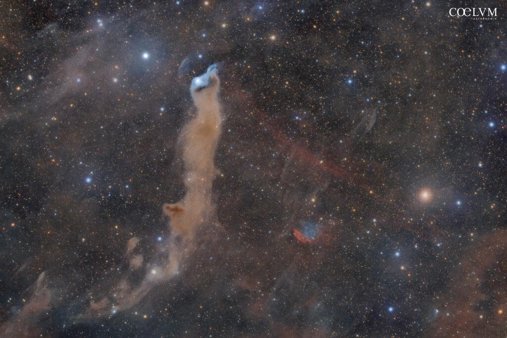 NEBULOSA OSCURA LBN 528