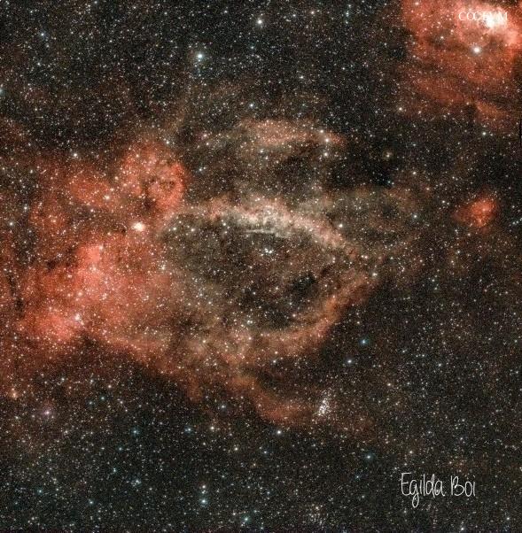 Nebulosa Chela d’Aragosta