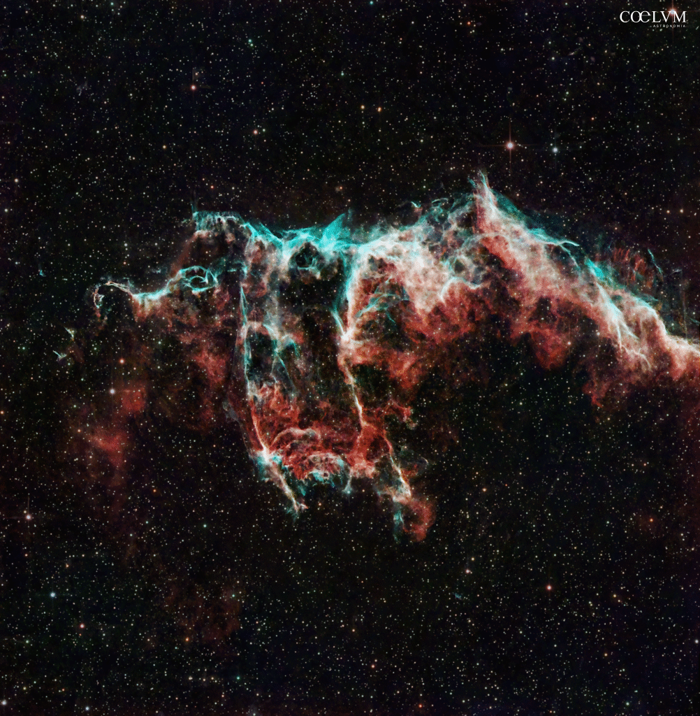 Bat Nebula