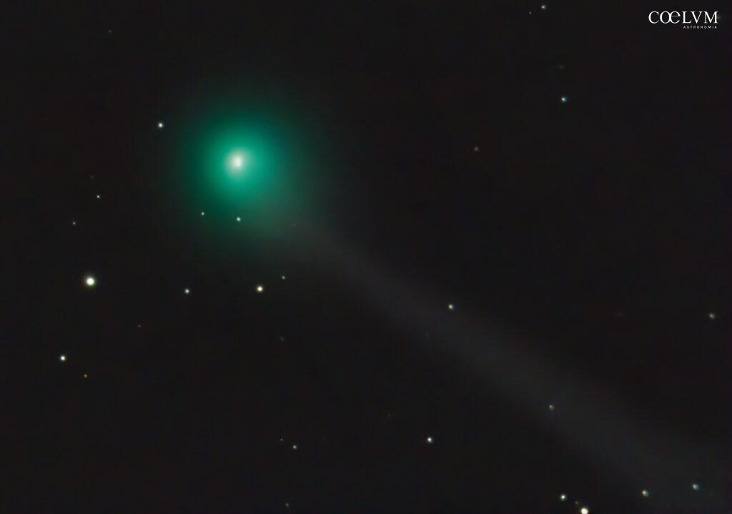 Cometa A6 (Lemmon)