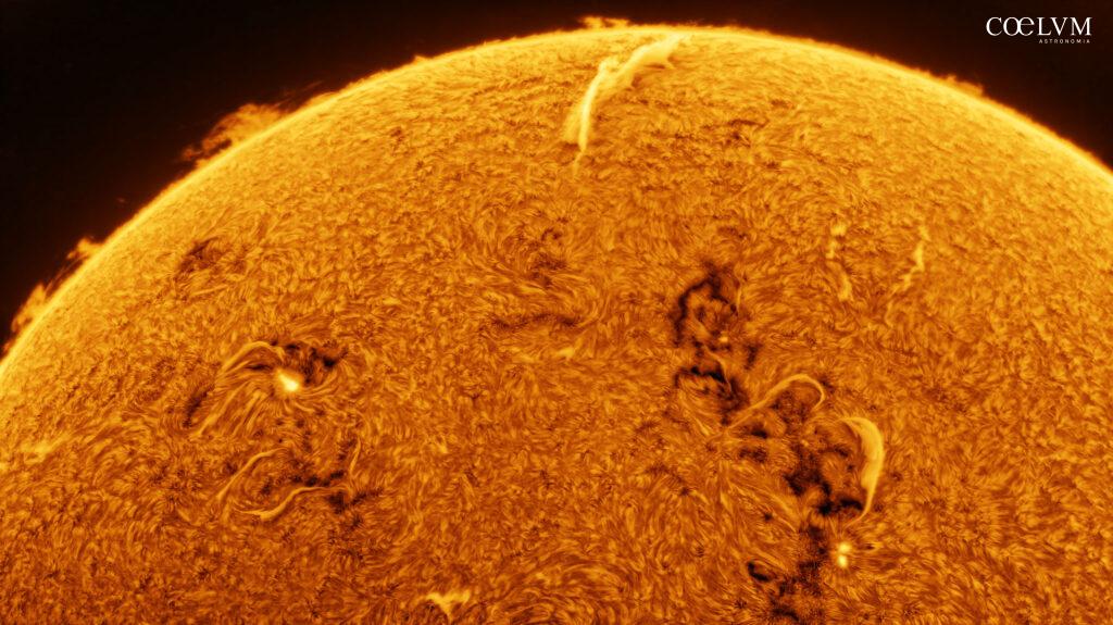 Sole in H-Alpha – 19 Settembre 2025
