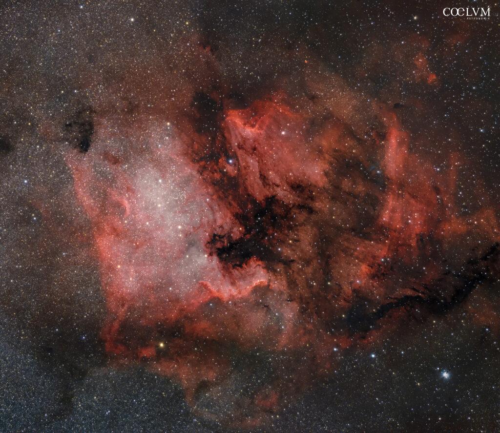Nebulosa Nord America e Pellicano