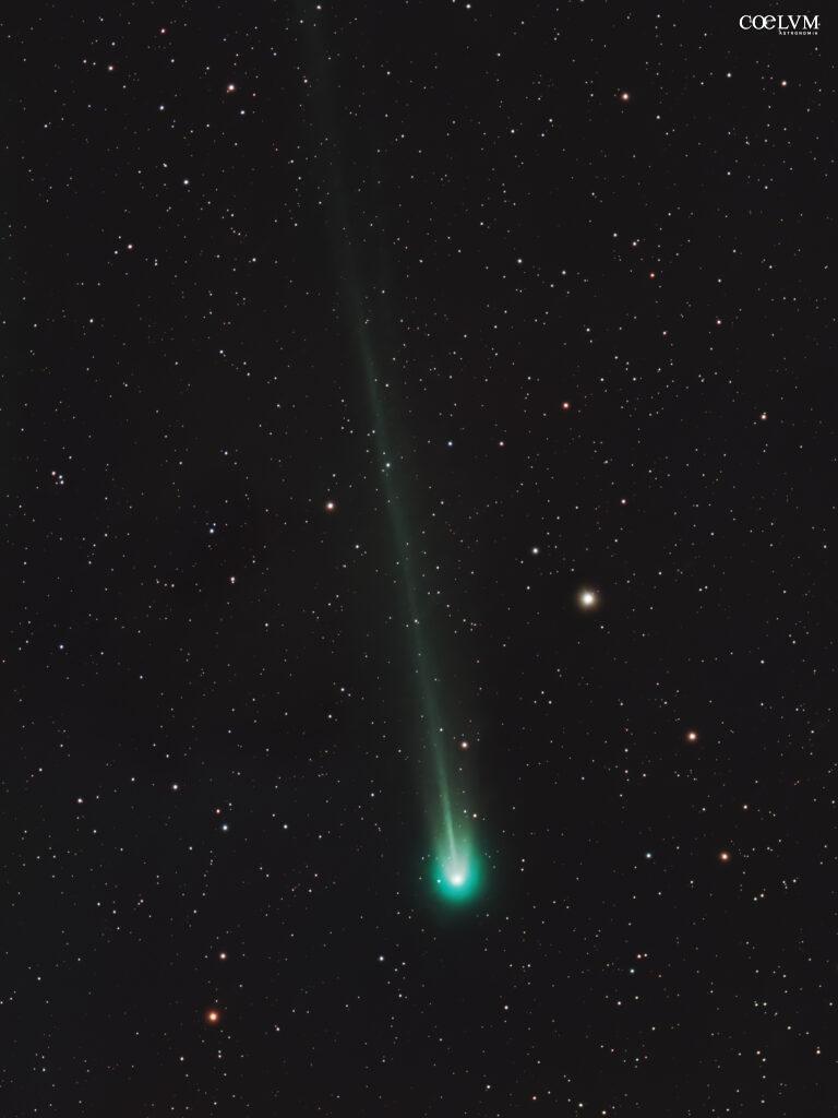 C/2025 A6 Lemmon