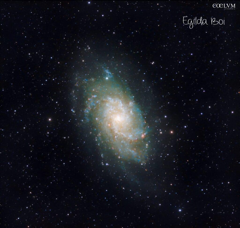 M 33
