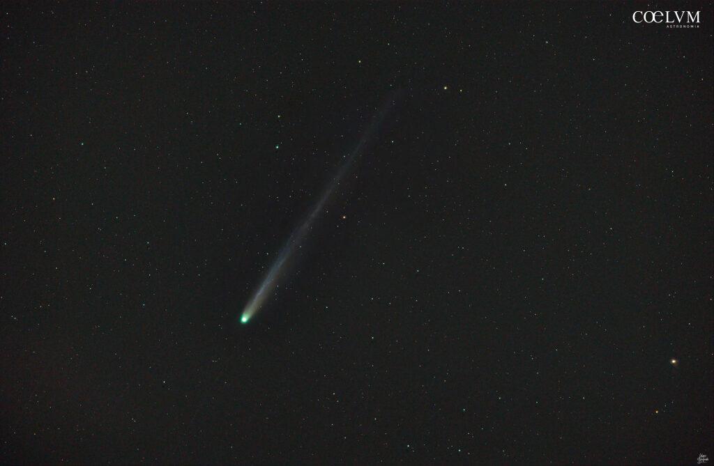 C/2025 A6 (Lemmon)