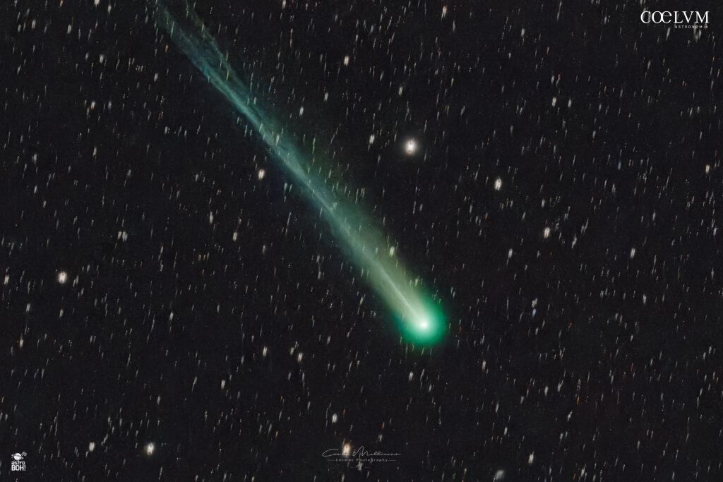 Cometa – C-2025 A6 – Lemmon