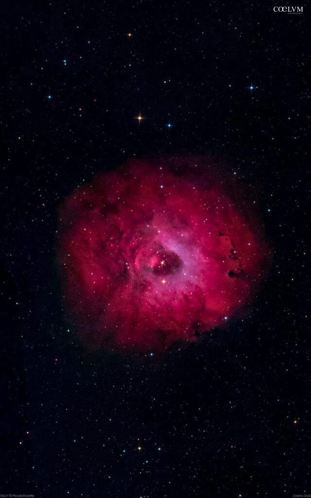 SH2-170 PICCOLA ROSETTA
