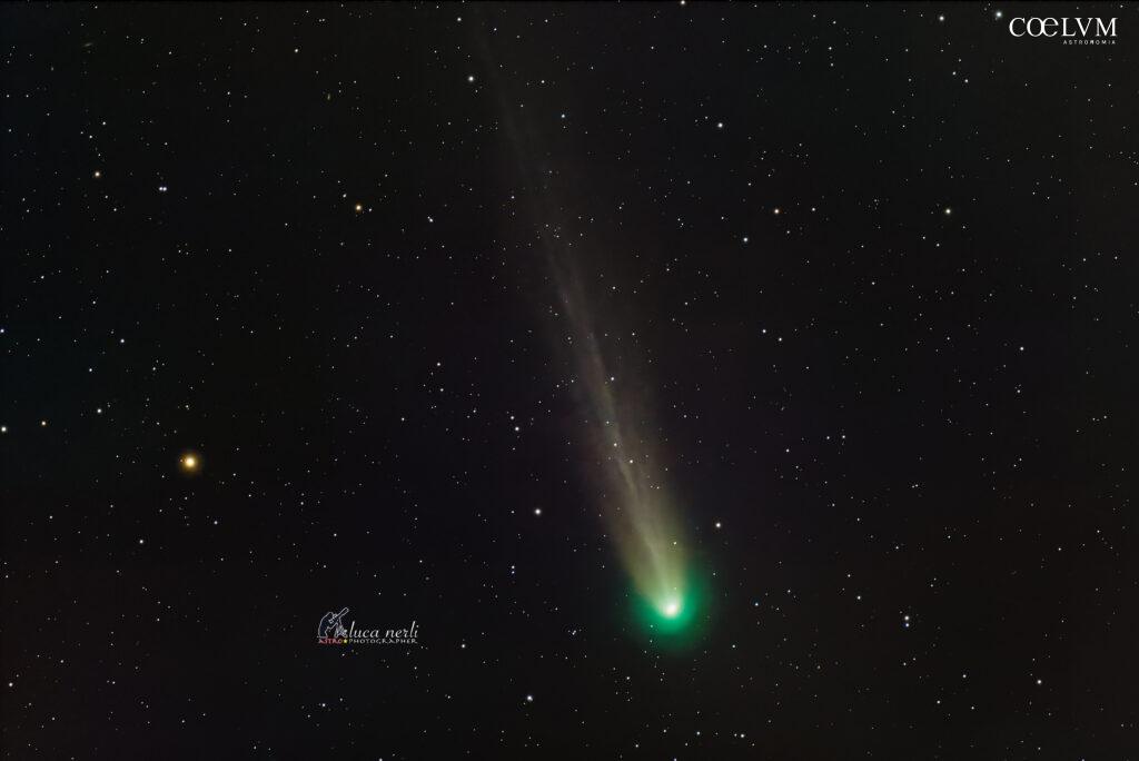 Cometa C/2025 A6 Lemmon