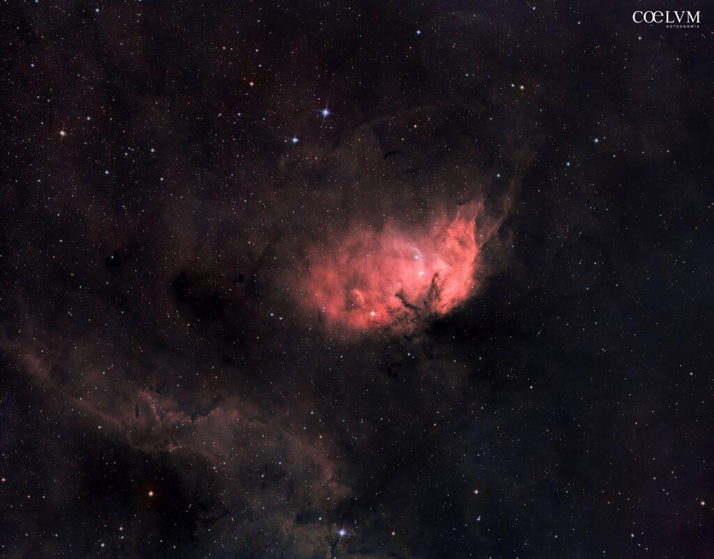 SH2-101 Tulip Nebula nella costellazione del Cigno