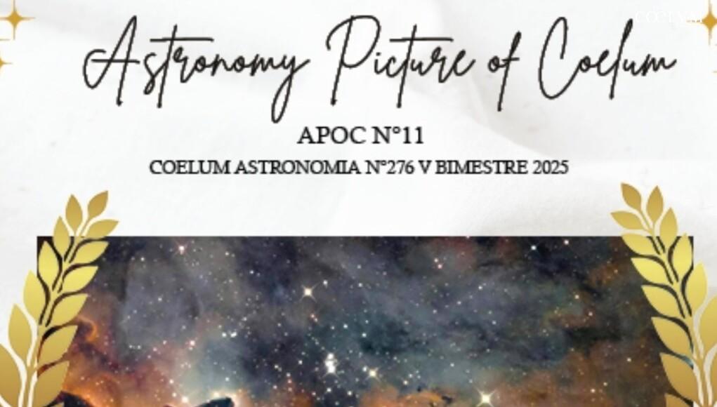 apoc 11