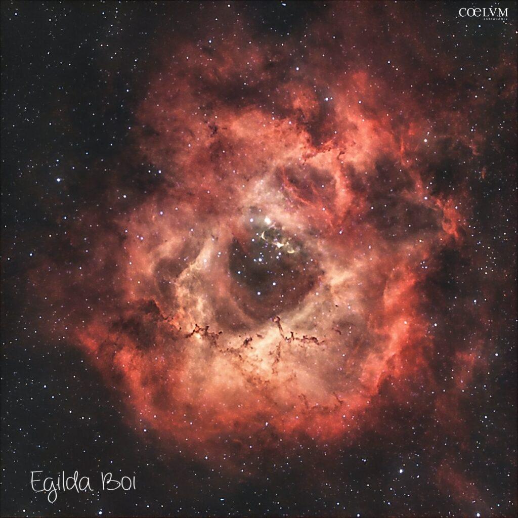 Nebulosa Rosetta