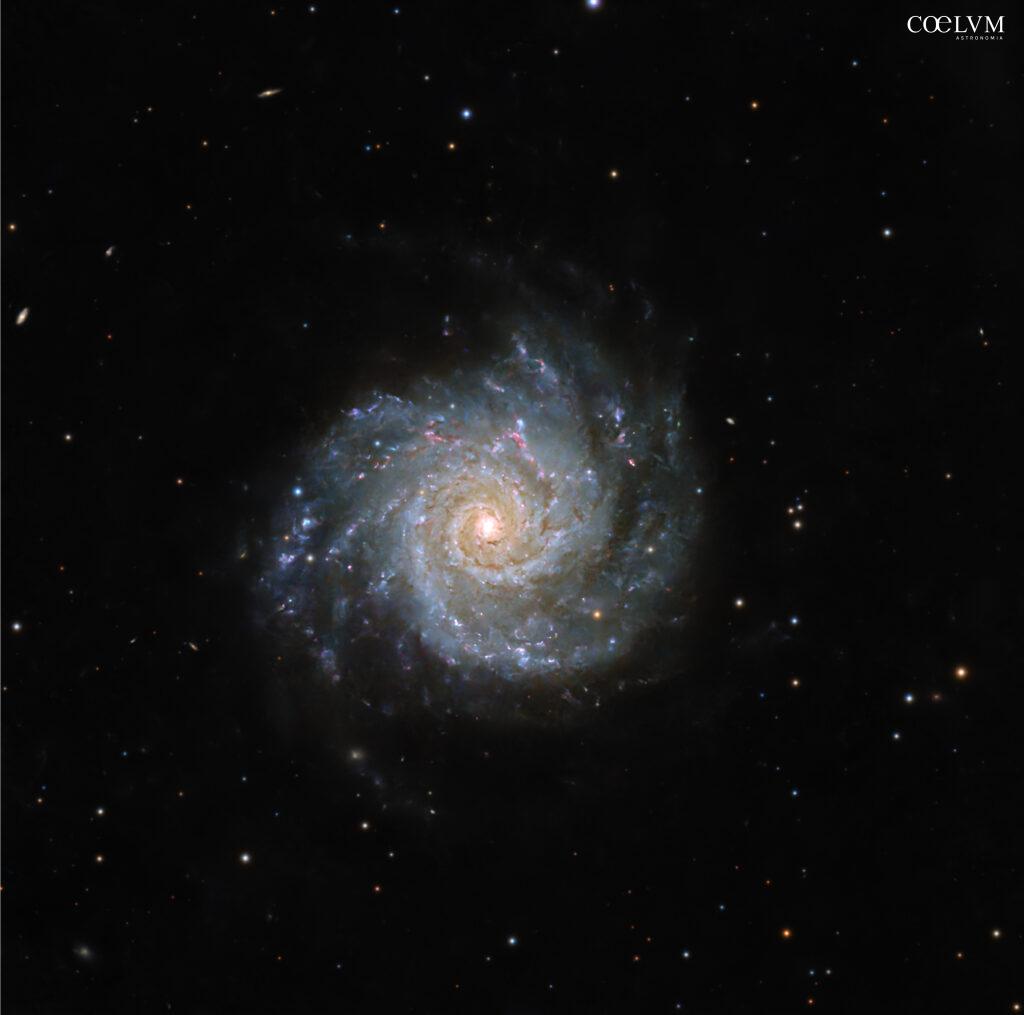 M74: galassia a spirale nella costellazione dei Pesci.