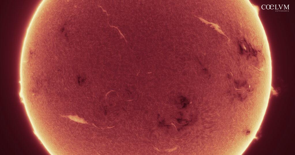 Sole – AR4274