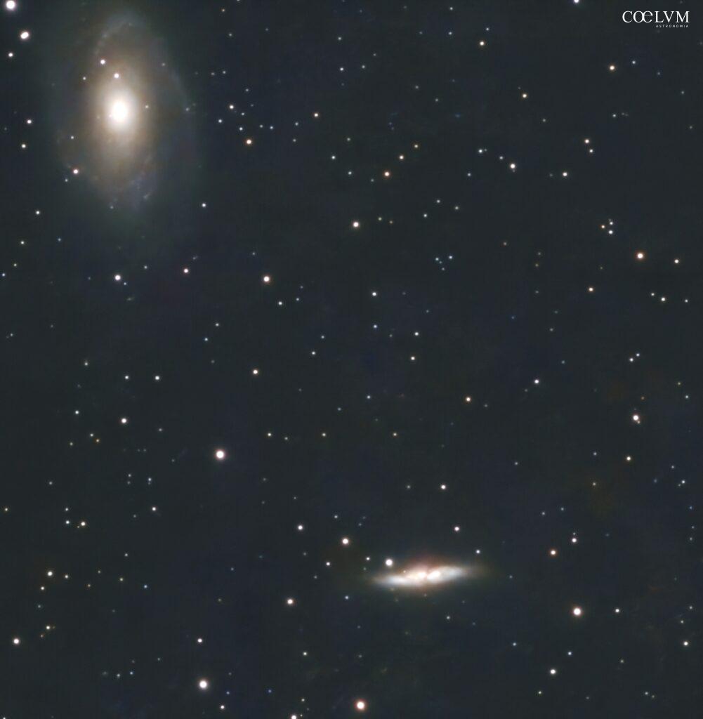 Galassie M81 e M82
