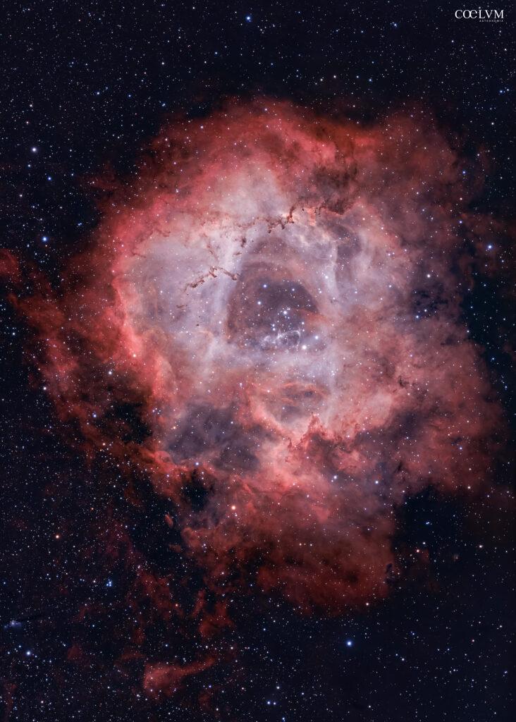 Nebulosa Rosetta