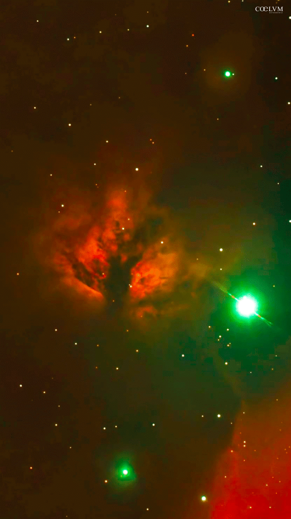 NEBULOSA FIAMMA NGC 2024