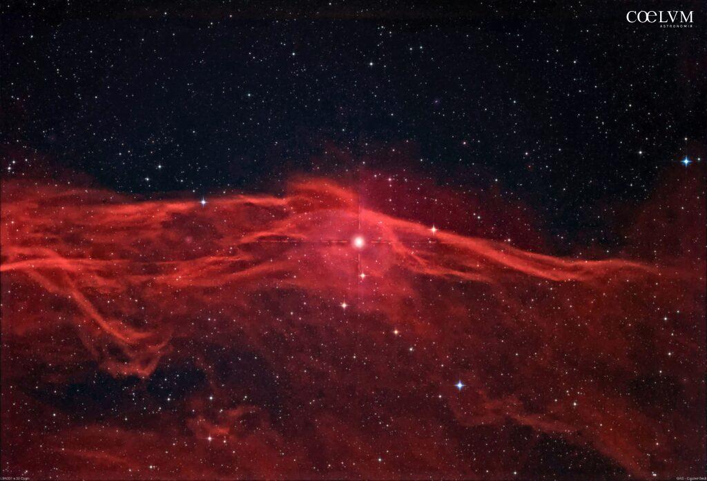 LBN331 e 32 CYGNI
