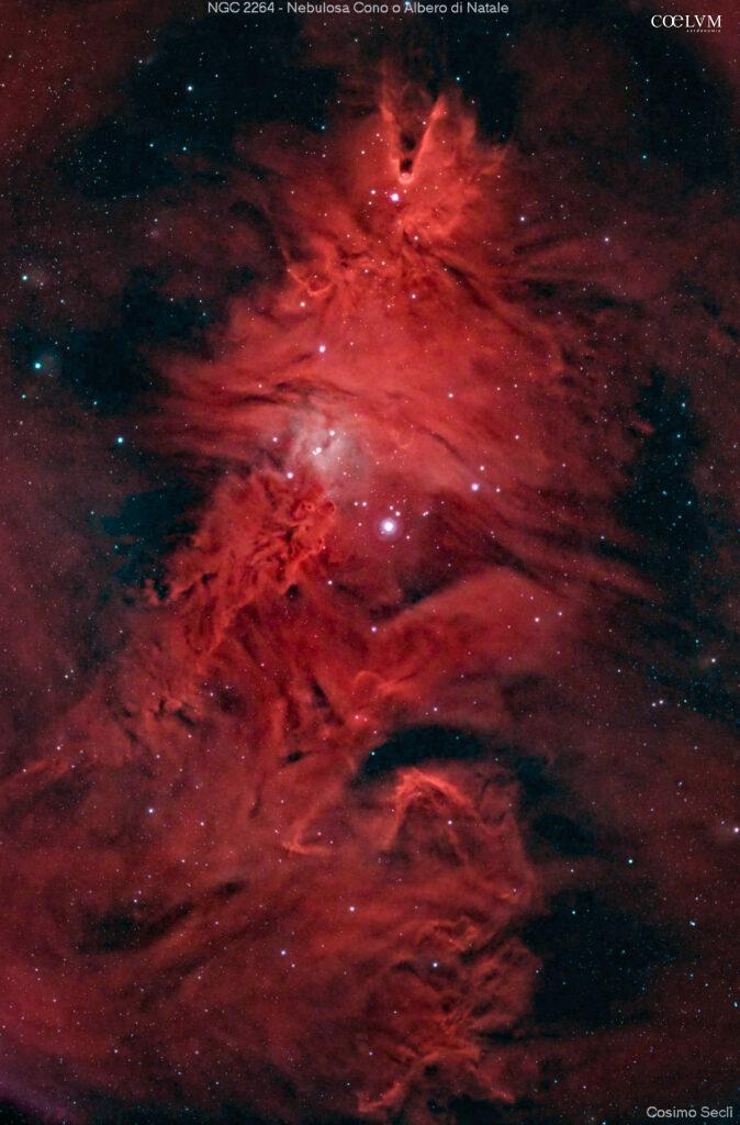 NGC2264 – NEBULOSA CONO E ALBERO DI NATALE