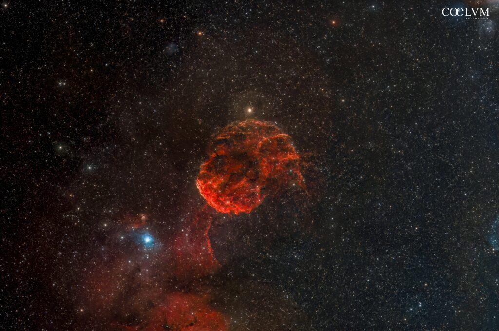 nebulosa Jellyfish ic443