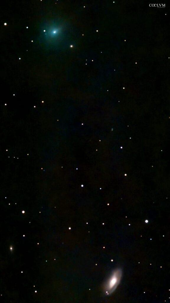La Cometa 24P Schaumasse ripresa il 28 dicembre 2025.