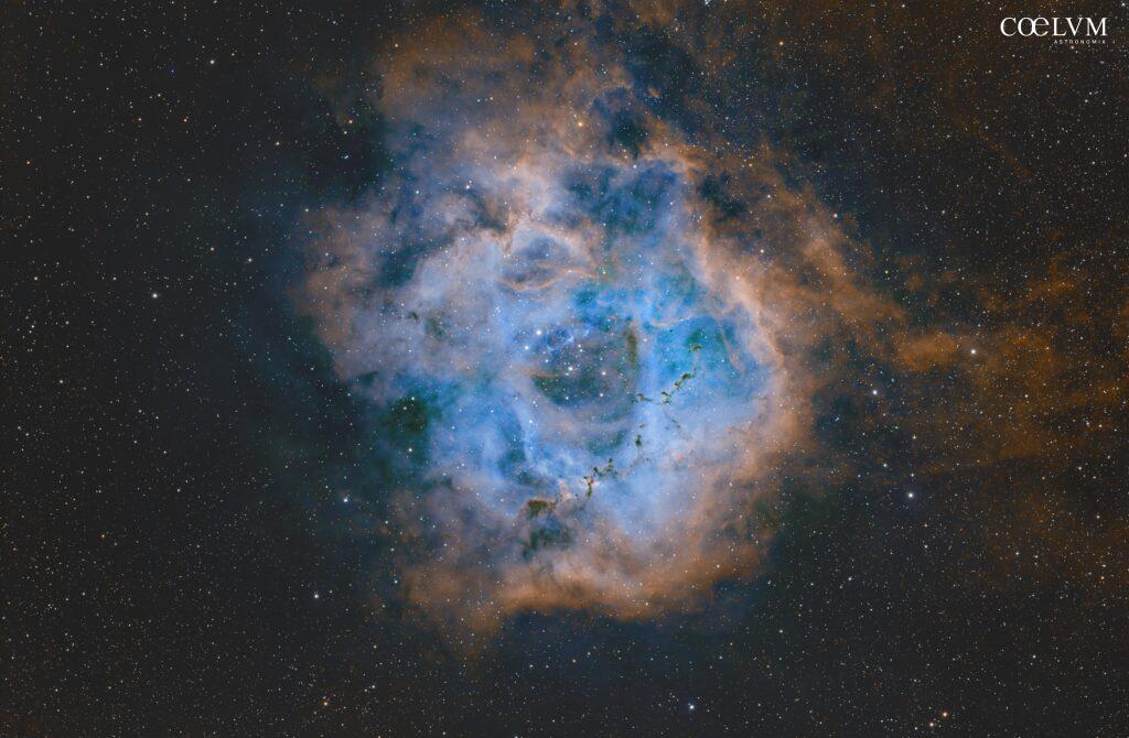 ROSETTA NEBULA
