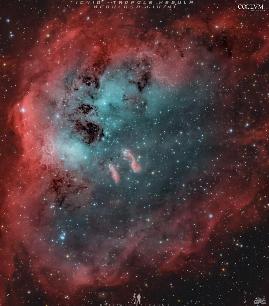 IC 410 – Nebulosa Girini