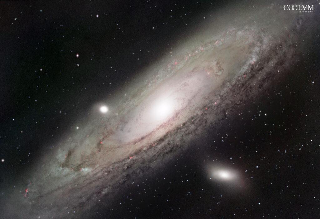 M 31 Galassia di Andromeda