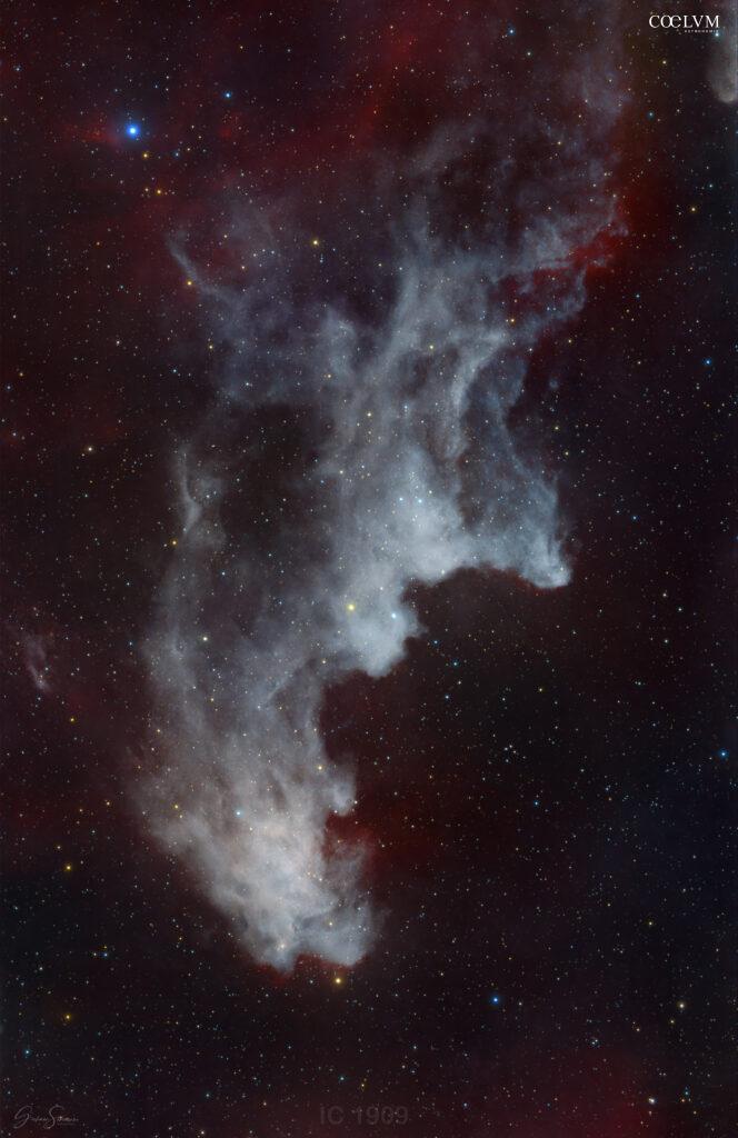 NEBULOSA TESTA DI STREGA
