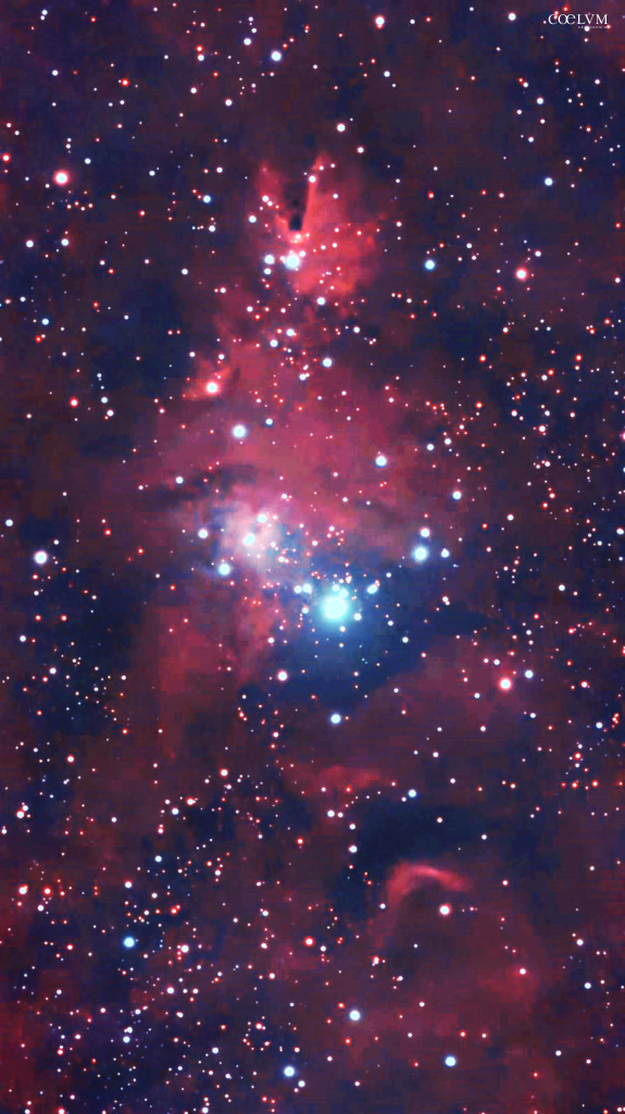 NGC 2264 NEBULOSA CONO E AMMASSO ALBERO DI NATALE