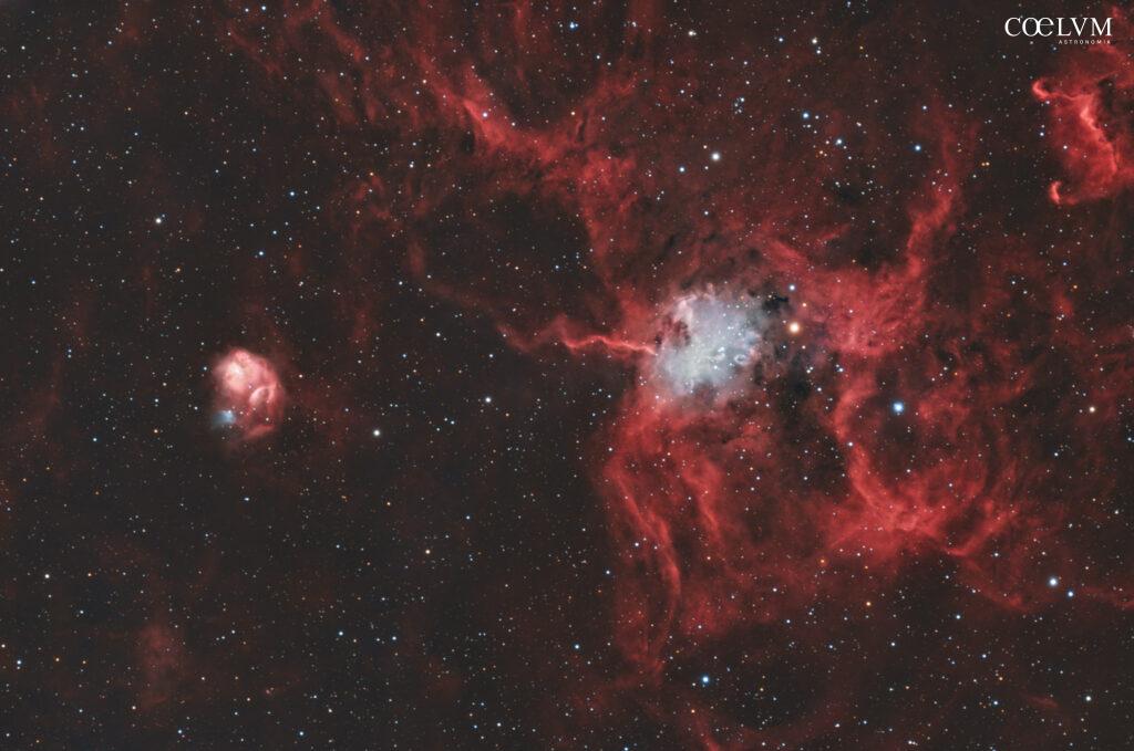 Nebulosa Ragno (IC 417) & nebulosa Mosca (NGC 1931)