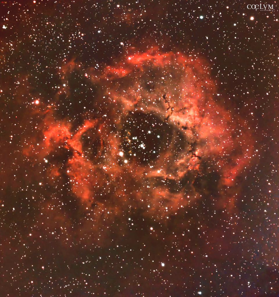 Dove nascono le stelle: NGC 2244 l’energia che scolpisce la Nebulosa Rosetta