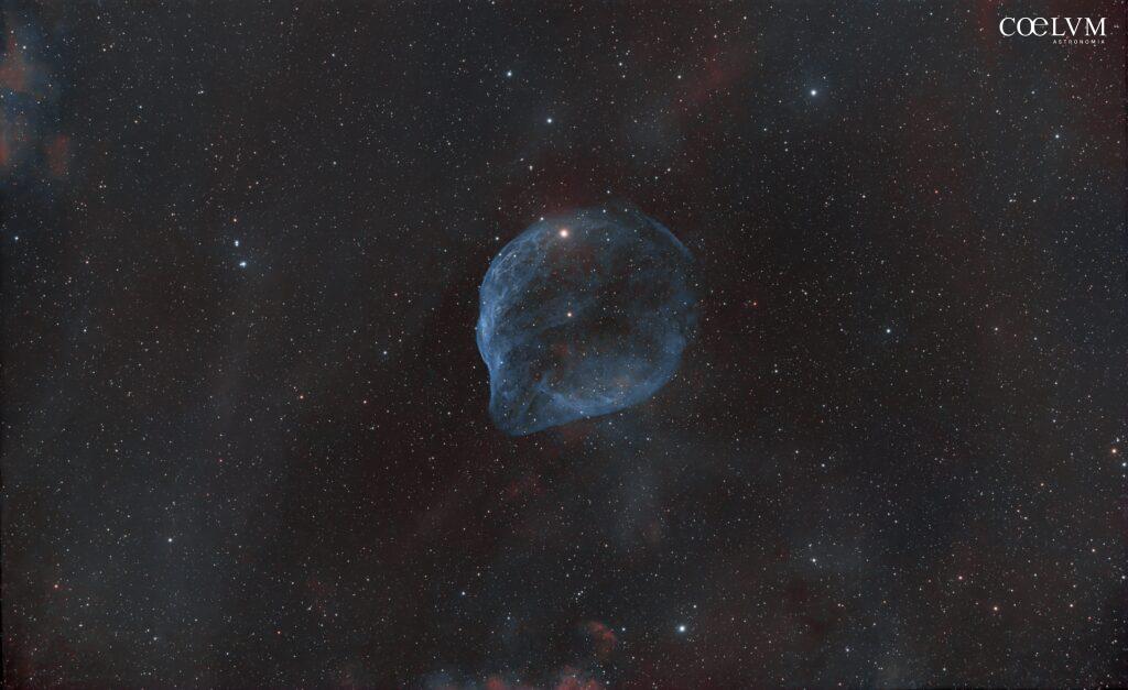 NEBULOSA SH2-308 TESTA DI DELFINO