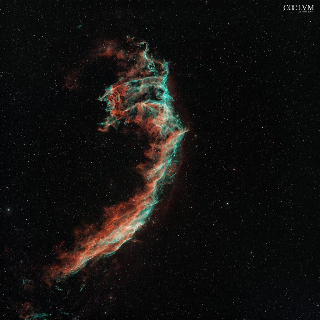 ngc 6995 Velo est