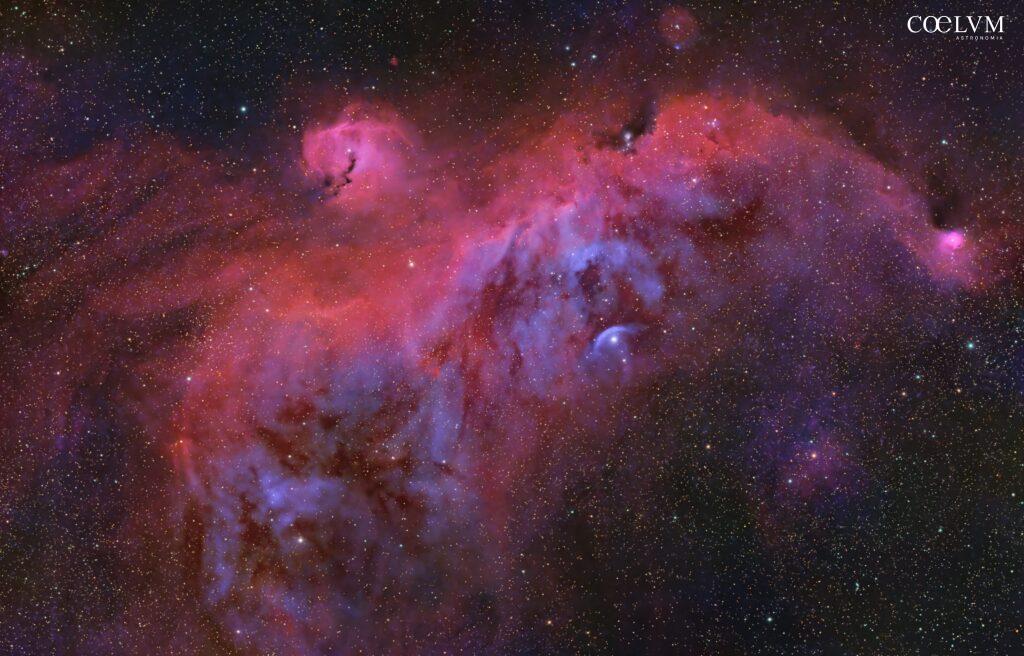 SEAGULL NEBULA