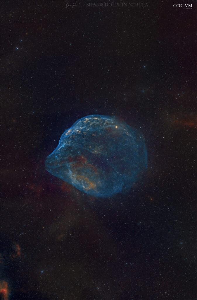 SH2 308