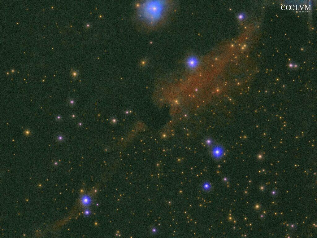 Nebulosa Testa di Cavallo
