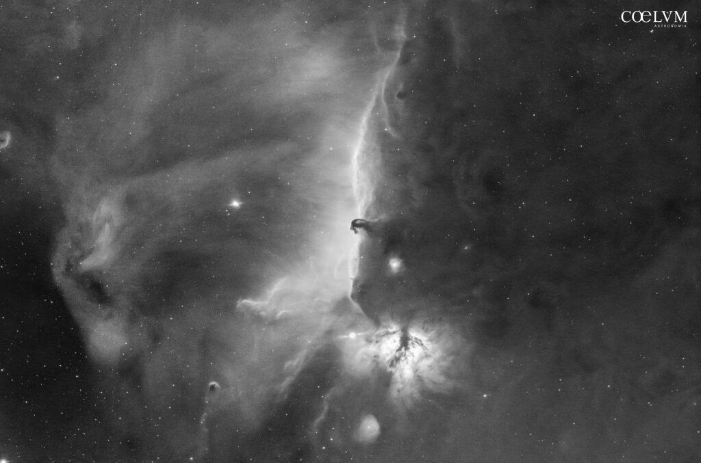 B33 IC434 in Orione