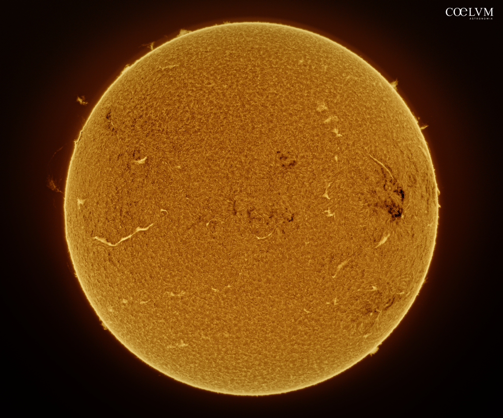 Disco solare in h alpha