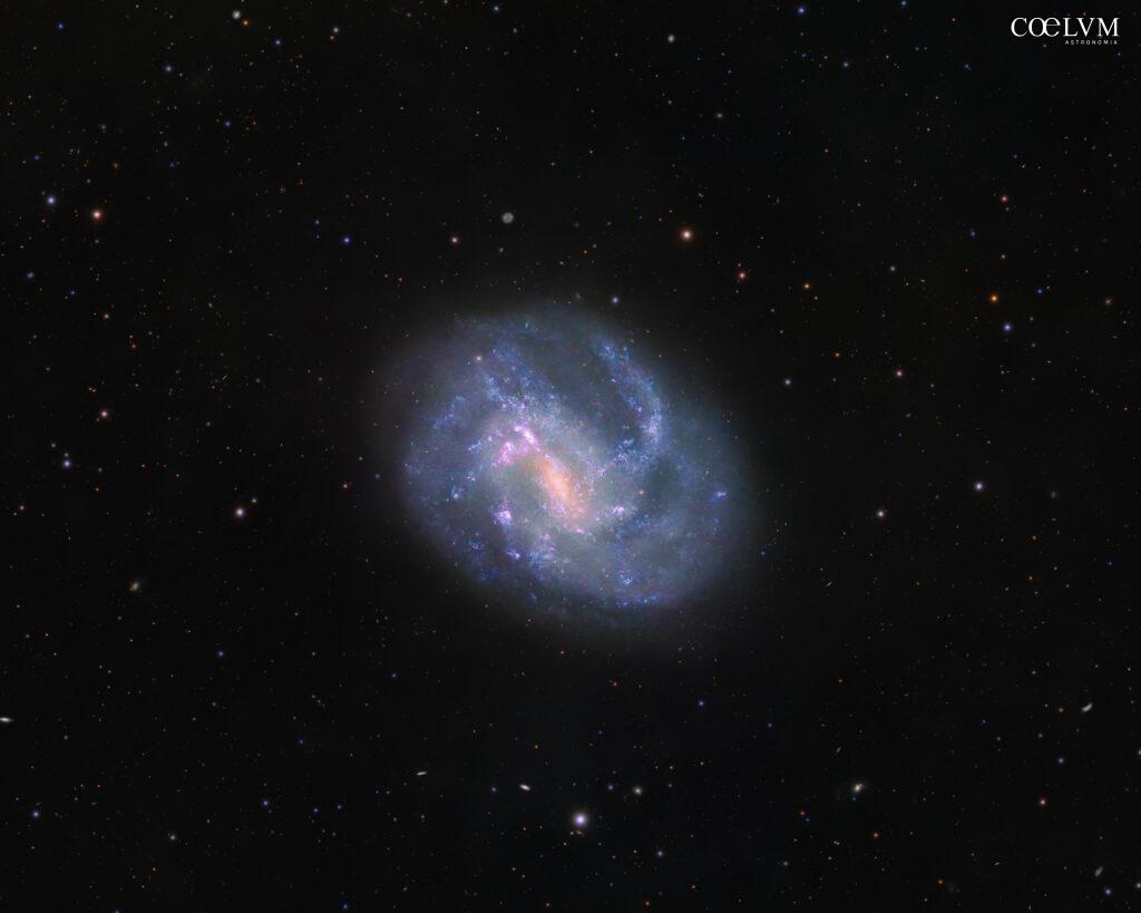 NGC 4395: galassia a spirale nei Cani da Caccia